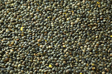 Organic lentils dry seeds close-up, healthy super diet food
