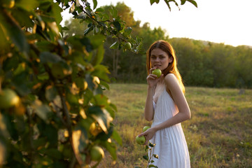 cottage village apples trees summer woman