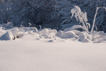 winter landscape
