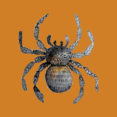 halloween background illstration