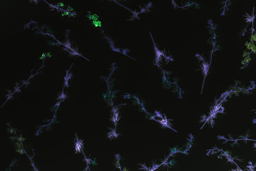 Inverted colors floral flat lay pattern