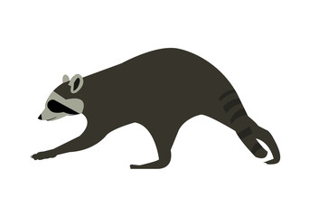 Cartoon vector illustration of a raccoon, isolated on white background
