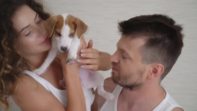 portrait close-up. happy young couple enjoying life on bed on a sunny morning in the room. caring husband and tender wife play in bed with puppy jack russet terrier and cuddle. puppy dabbles and bites