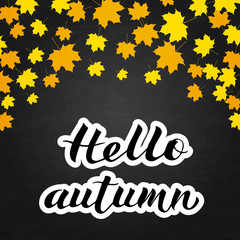 Hello autumn written with brush on chalkboard background. Yellow and orange falling leaves.  Calligraphy lettering. Autumn fall vector illustration.