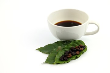 Coffee seed and black coffee