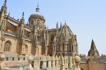 Cathédrale de Salamanque