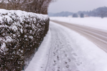 Obraz premium Geheweg an der Hecke im Winter und Straße