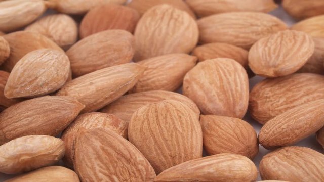 Macro shooting of apricot kernels heap. Slowly rotating on the turntable isolated on the white background. Close up. Full frame.
