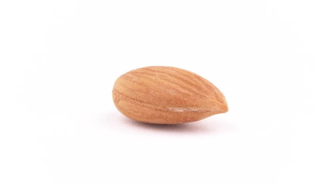 Macro shooting of one apricot kernels. Slowly rotating on the turntable isolated on the white background. Close up.