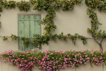 Fototapeta na wymiar Country side house with flower decoration