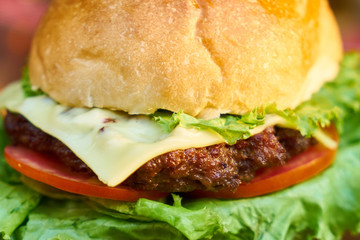 Delicious Hamburger