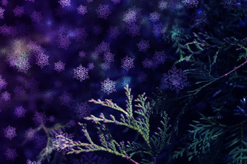 Christmas background with fir branches, glow, snowflakes and bokeh.