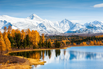 Kidelu lake, snow-covered mountains and autumn forest in Altai Republic, Siberia, Russia - obrazy, fototapety, plakaty