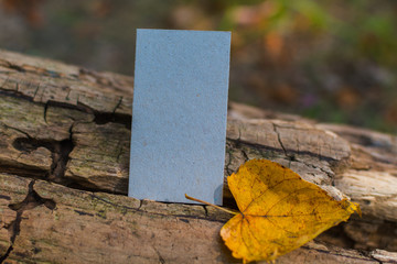 blank card outdoor