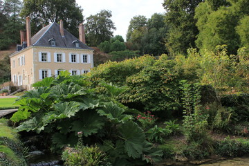 Fototapeta na wymiar Les Jardins du Plessis de Sasnières