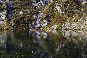 Wonderful reflected nature elements on water, natural park Italy