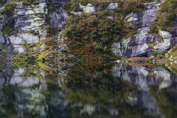 Wonderful reflected nature elements on water, natural park Italy