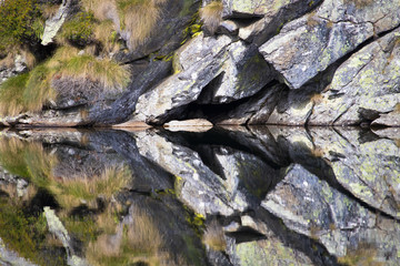Wonderful reflected nature elements on water, natural park Italy