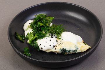 Dietary protein omelet
