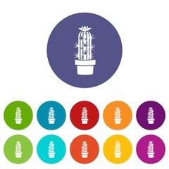 Cactus chereus icon. Simple illustration of cactus chereus vector icon for web