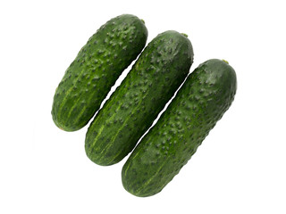 three short cucumbers lie in a row. isolate on a white background, top view.