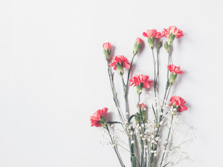 Red pink cloves flowers and gypsophila isolated on light gray background. copy space. flat lay, top view