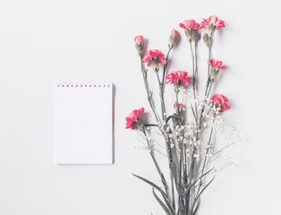 Pink cloves flowers and gypsophila next to small white notebook isolated on light gray background. Copy space. flat lay, top view