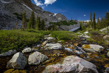 Summer in the Snowy Range Mountains of Wyoming