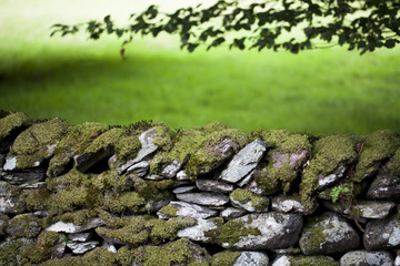 Valla de piedra con musgo