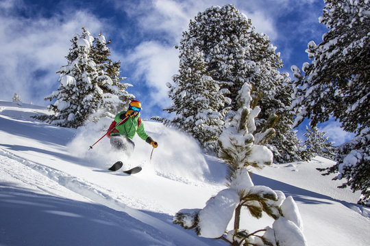 Offpiste skiing in deep powder snow