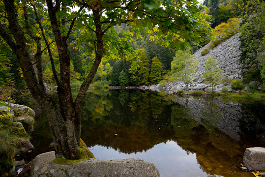 Herbst am Lac de Fischboedle in den Vogesen