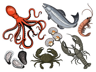 Vector set. Seafood. Oyster, sea scallop, crab, shrimp, lobster, Octopus, squid, fish. 