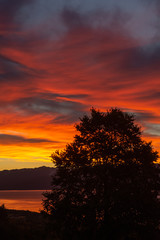 Fototapeta na wymiar Red sunrise over bay with tree and mountains