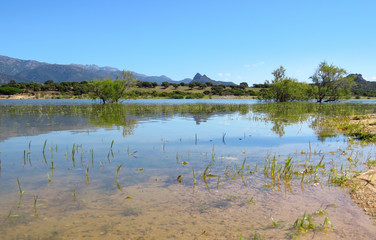 Lago del Coghinas with the reflection of trees and mountains in the blue water of the lake, Sardinia, Italy
