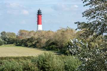 Fototapeta na wymiar Leuchturm von der Insel Pellworm