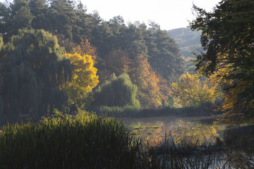 Autumn forest reflected in the water of the lake