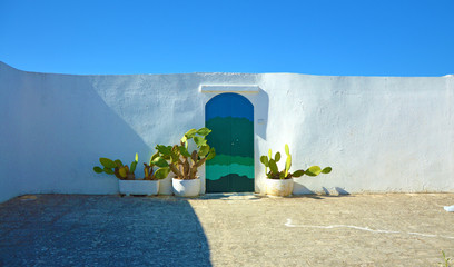 Blue door with cactus and the traditional white walls in the town of Ostuni Apulia region, Italy....