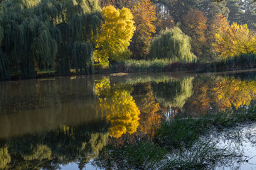 Fototapeta premium Autumn forest reflected in the water of the lake. Fall landscape.
