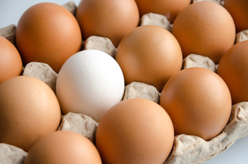 yellow eggs in a paper package
