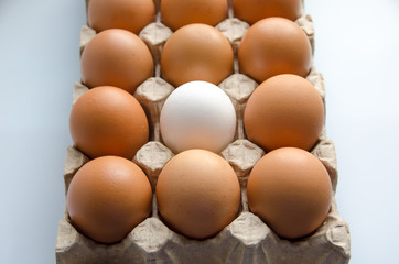 yellow eggs in a paper package