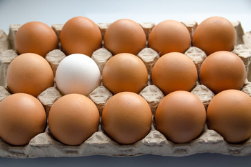 yellow eggs in a paper package
