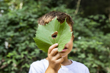 Little boy looking through a hole in a leaf