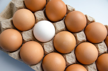yellow eggs in a paper package