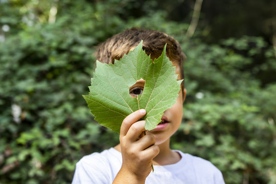 Little boy looking through a hole in a leaf