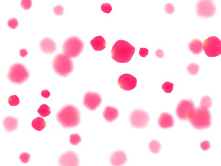 Pink rose petals falling vector valentine background.