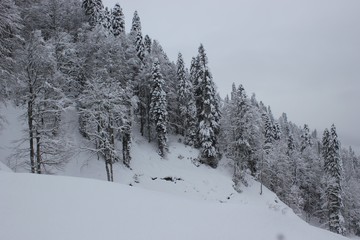 winter in the mountains