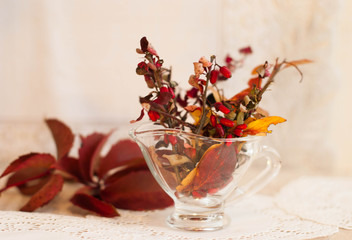 autumn bouquet of different flowers