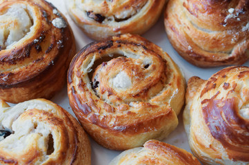 Sweet pastries with cream. Round rolls with cottage cheese.