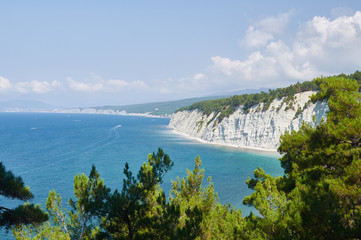 Fototapeta na wymiar Beautiful view from the relict pine forest on the steep coast of the Black Sea.