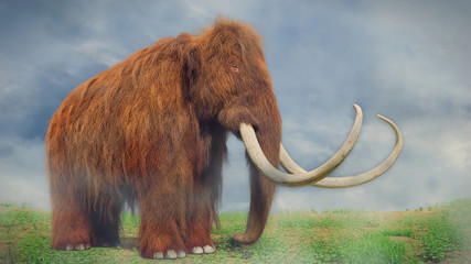 Fototapeta premium woolly mammoth, prehistoric mammal in foggy landscape (3d illustration)